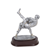 Pewter Trophies (0)